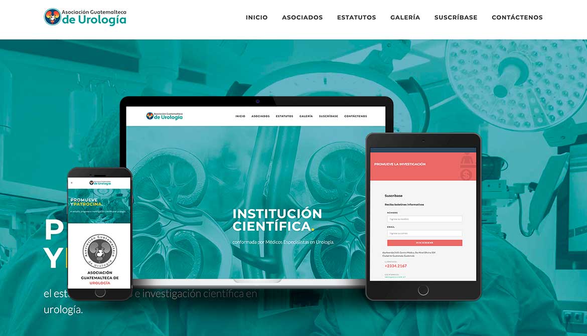 diseño en guatemala de paginas web